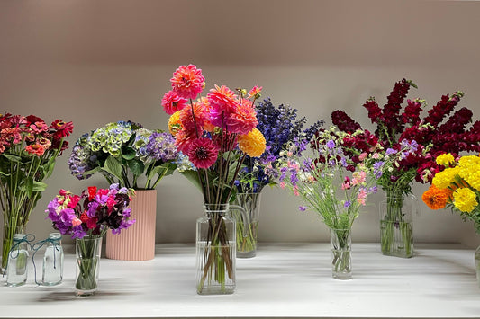 Wellington's Go-To Florist for Same Day Flower Delivery