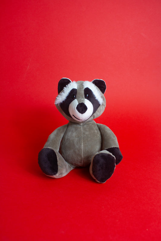 Zus and Co - Rocco the Racoon