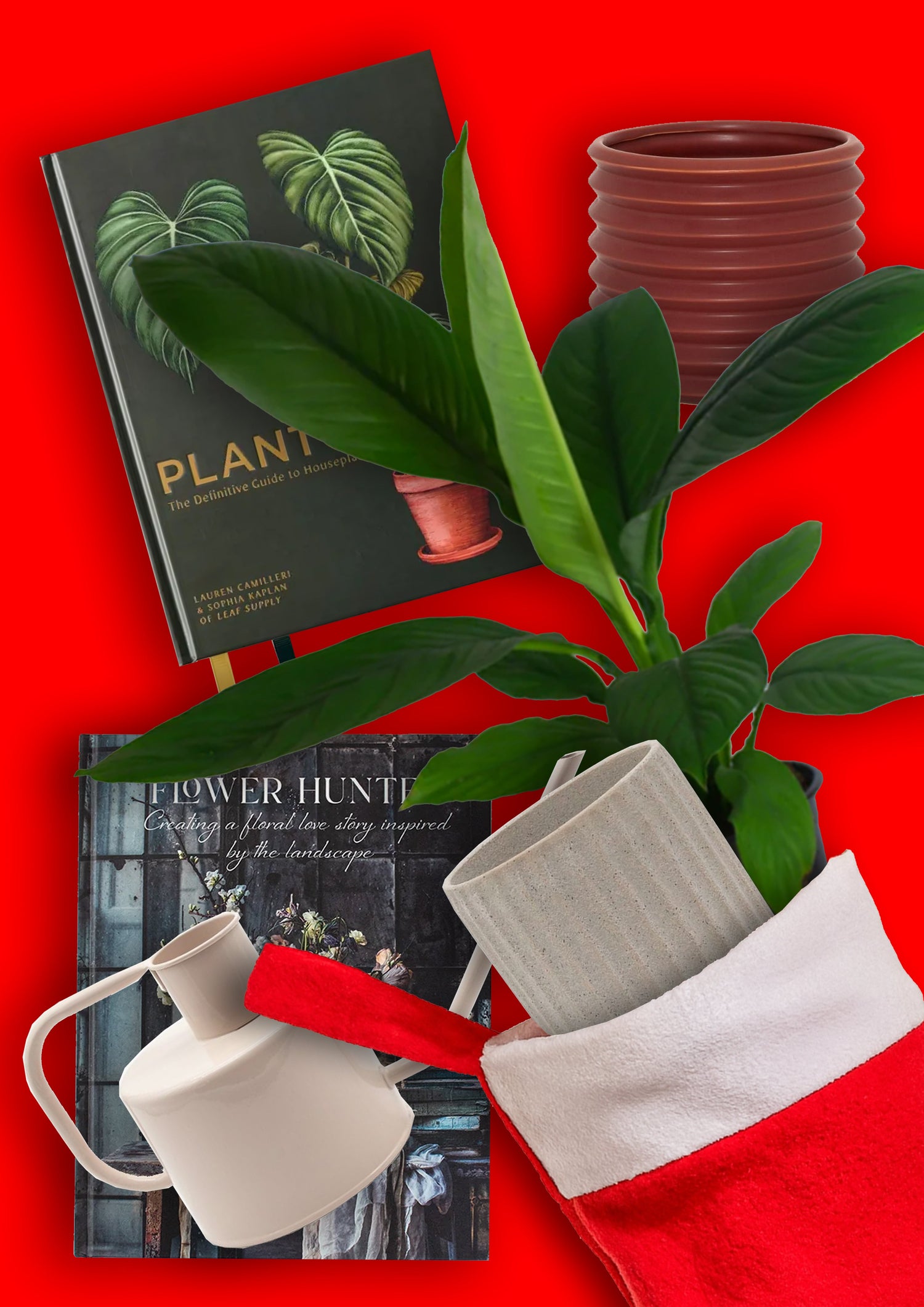 For the Plant Lover