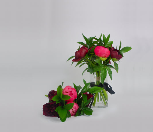 Mixed Peonies – Seasonal Perfection in Bloom