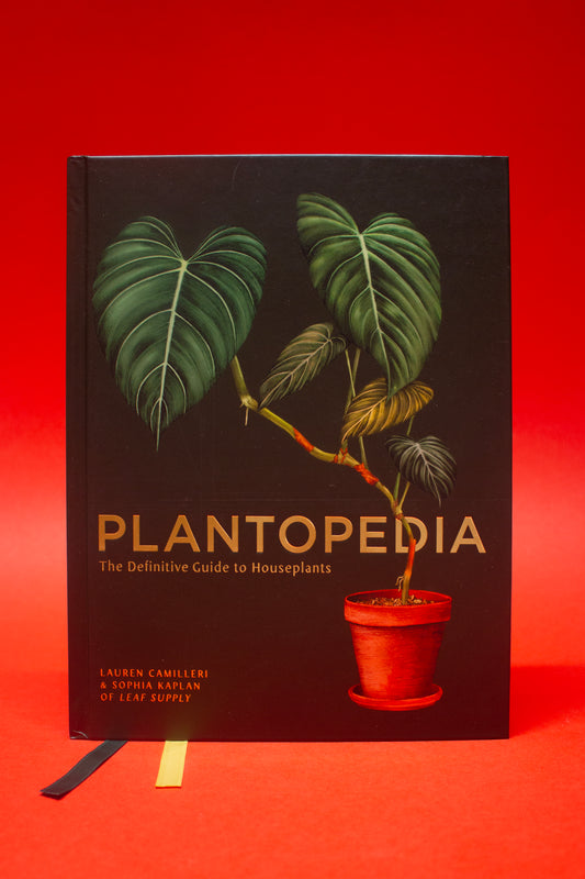 Plantopedia by Lauren Camilleri