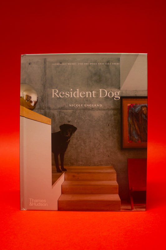Resident Dog by Nicole England