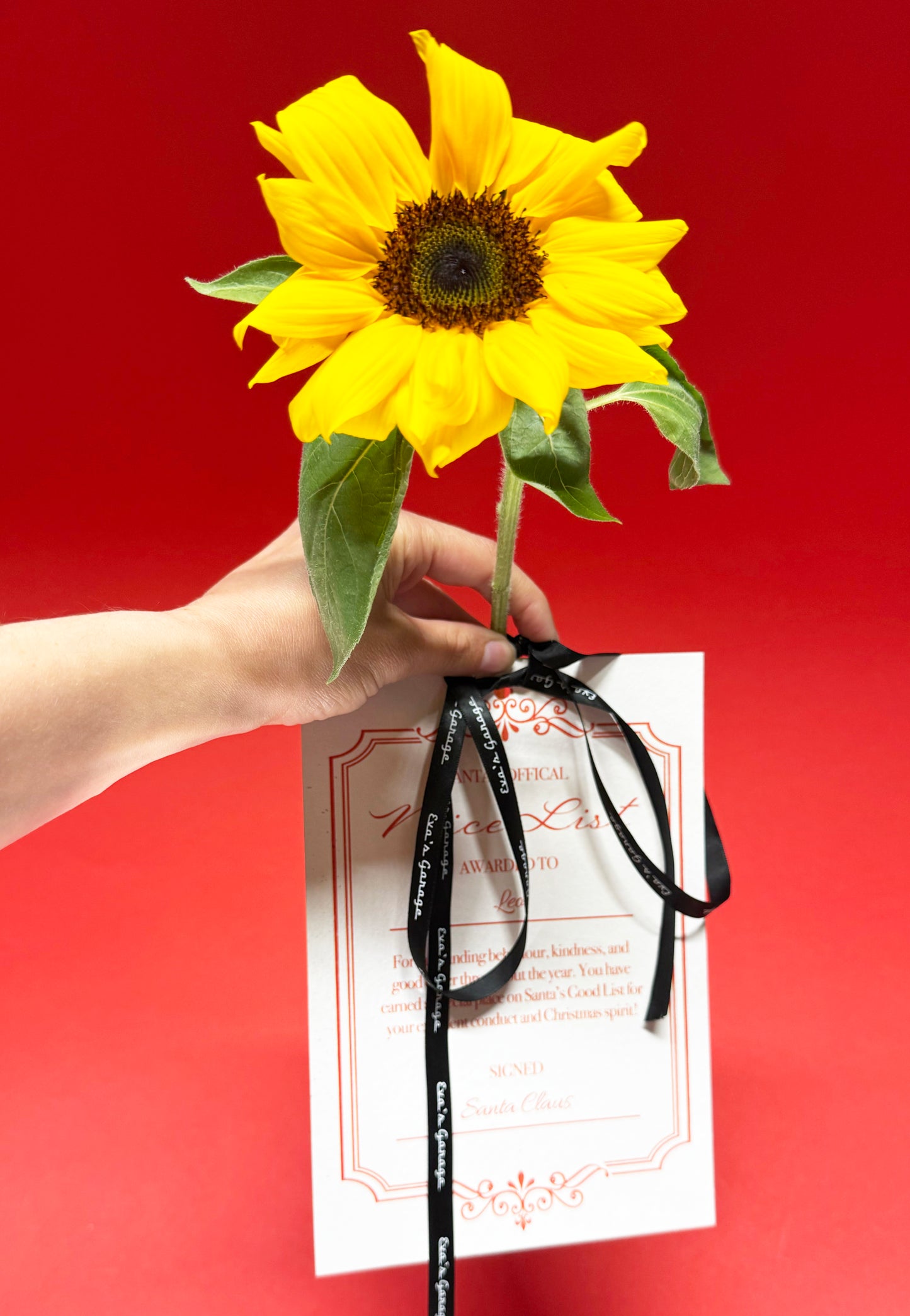 Santa's Nice List Personalised Card